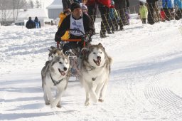 Lenk 2012 SM